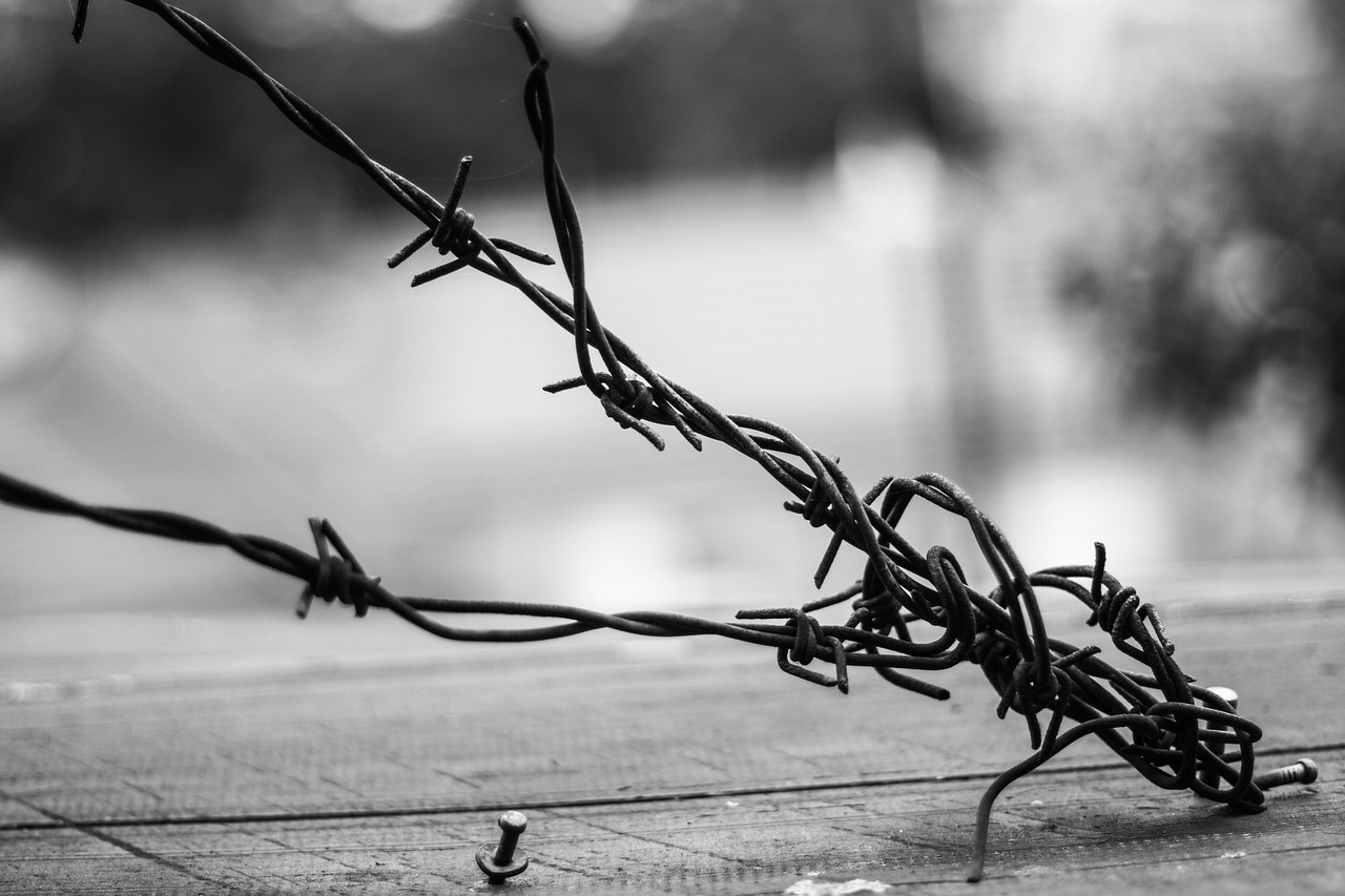 張藝謀最新力作，探索電影藝術(shù)的無限邊界