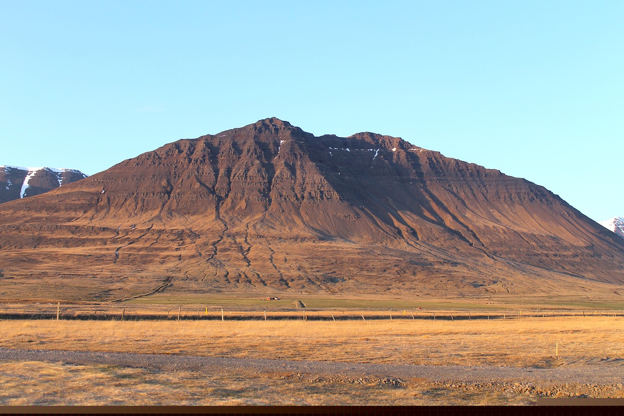范偉最新動態(tài)與成就概覽