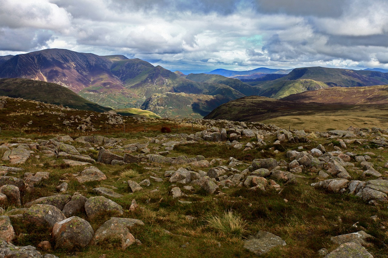 夏庵最新探訪報告揭秘，最新動態(tài)與發(fā)現(xiàn)
