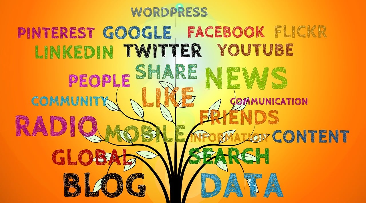 2024澳門掛牌正版掛牌今晚,數(shù)據(jù)分析計劃,明星版XNA24.8.81