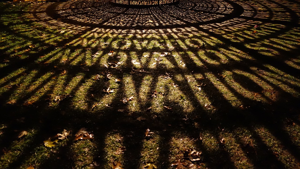 香港最新電影炫酷貓，探索電影藝術的魅力與創(chuàng)新之旅