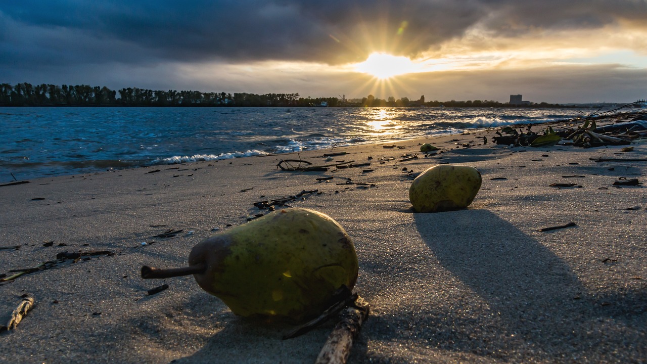 貴陽(yáng)萬(wàn)科城最新動(dòng)態(tài)更新