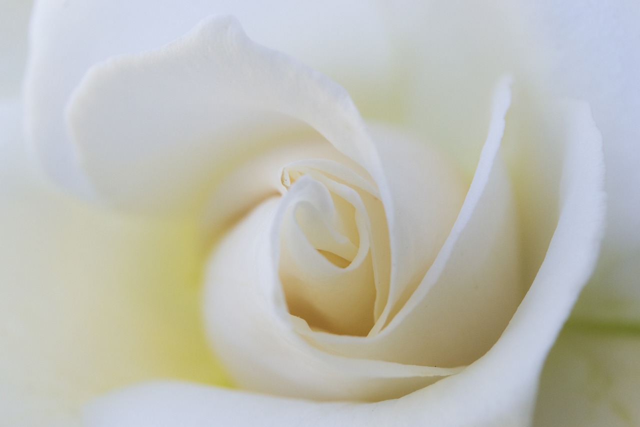 今天晚上澳門(mén)三肖兔羊蛇-輕奢版生活:享受品質(zhì)與低調(diào)奢華的完美結(jié)合