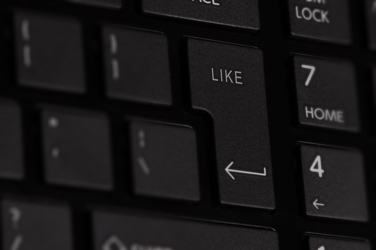 新澳精準資料免費提供網(wǎng),實證分析中的細明數(shù)據(jù)探索與應(yīng)用