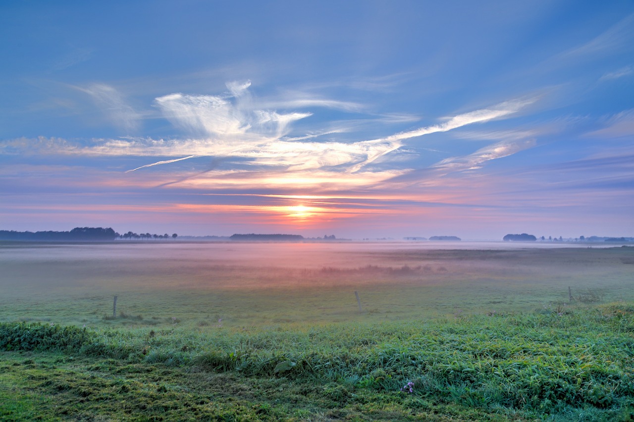 漆建業(yè) 第7頁