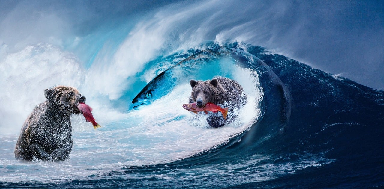 探索時(shí)尚與藝術(shù)的世界，最新圖片2017經(jīng)典薈萃