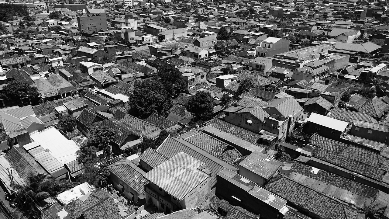 新奧長期免費資料大全，動態(tài)解讀分析，交互版MH3007.3171