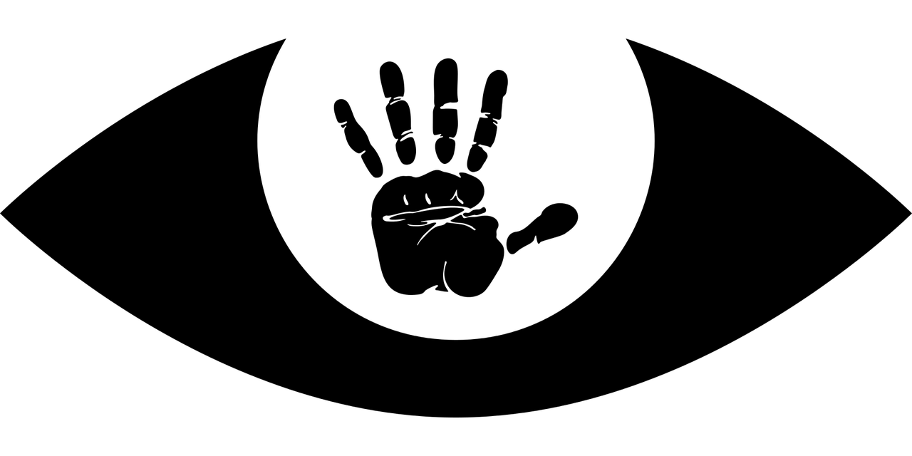 權律二最新動態(tài)揭秘，規(guī)則領域的創(chuàng)新與發(fā)展