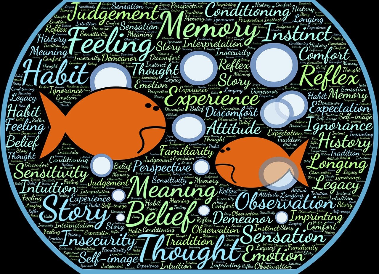 澳門最精準(zhǔn)免費資料大全旅游團，創(chuàng)新觀念闡述_緊急保護狀態(tài)YBT596.926.94