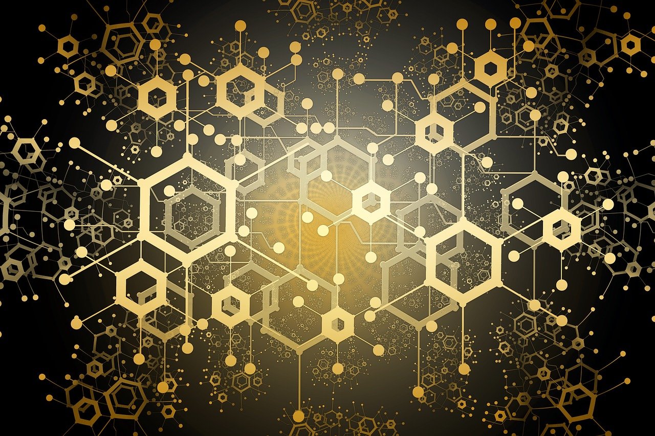 2024新澳開獎(jiǎng)生肖走勢(shì),解碼數(shù)據(jù)應(yīng)用之道_FX232.938