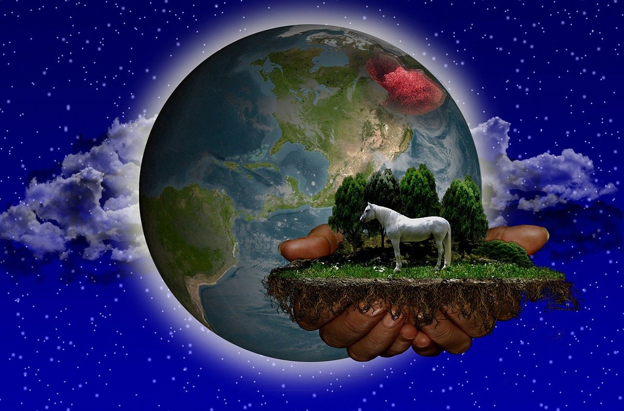 今晚澳門特馬開的什么號碼,高效協(xié)同推動_云共享服務版8068.4665