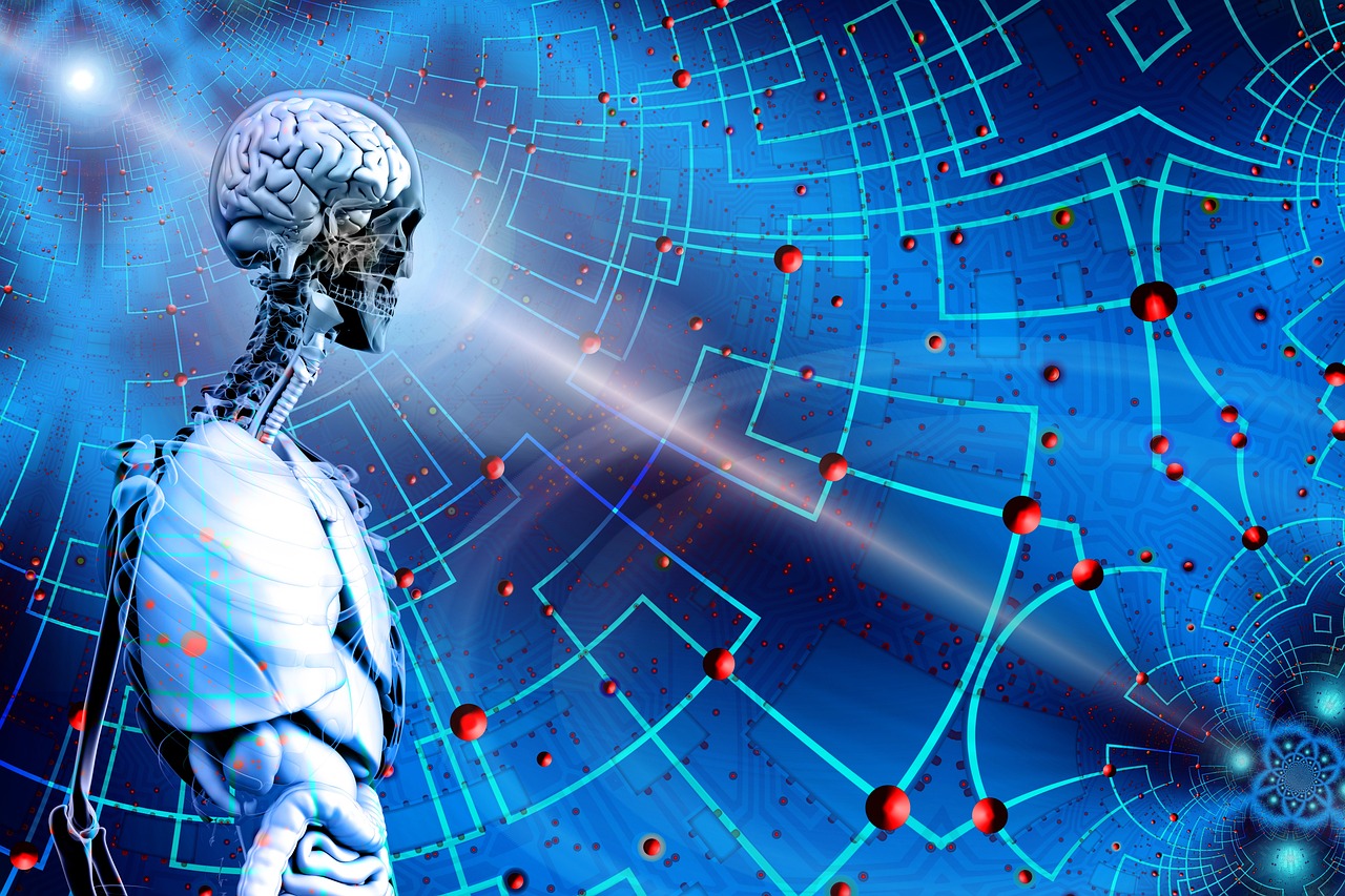 新澳資料正版免費(fèi)資料,科學(xué)數(shù)據(jù)解析與解讀_修改版75.74.93