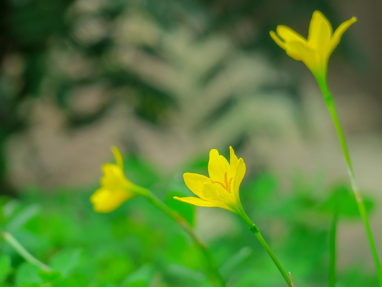 2024年香港正版資料免費(fèi)大全圖片,專家見解全面解析_綠色環(huán)保版68.01.34