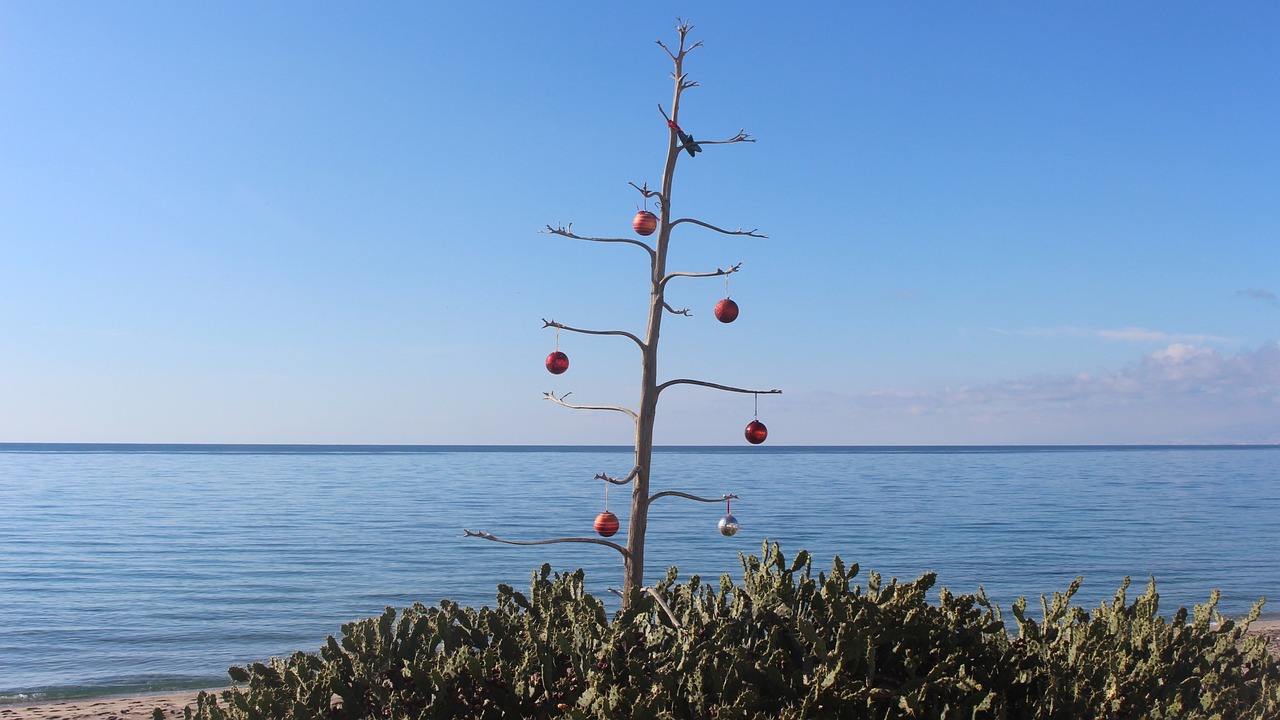 刀郎最新動態(tài)，音樂之旅開啟新篇章