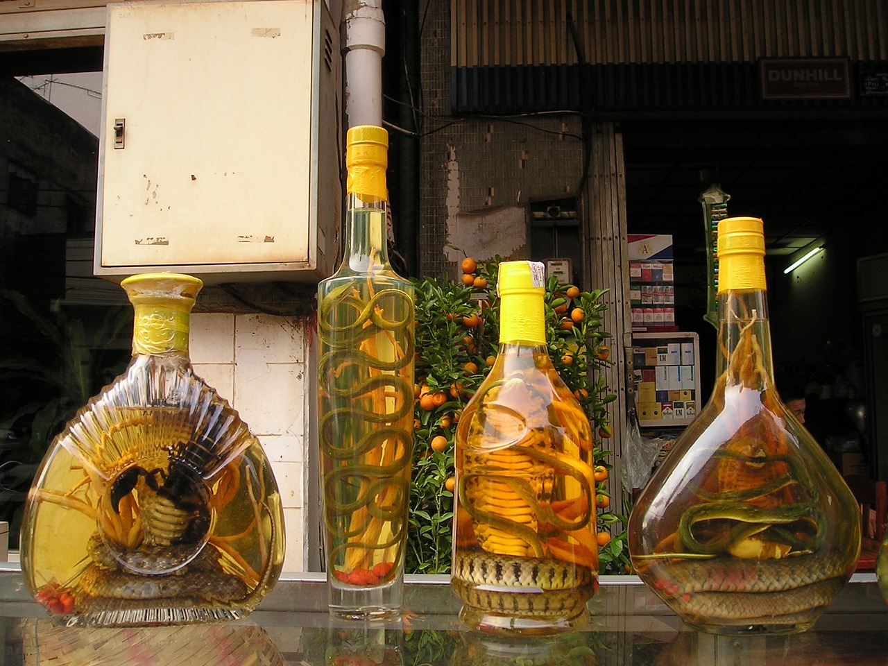 白沙液酒價格大全，最新價格一覽表