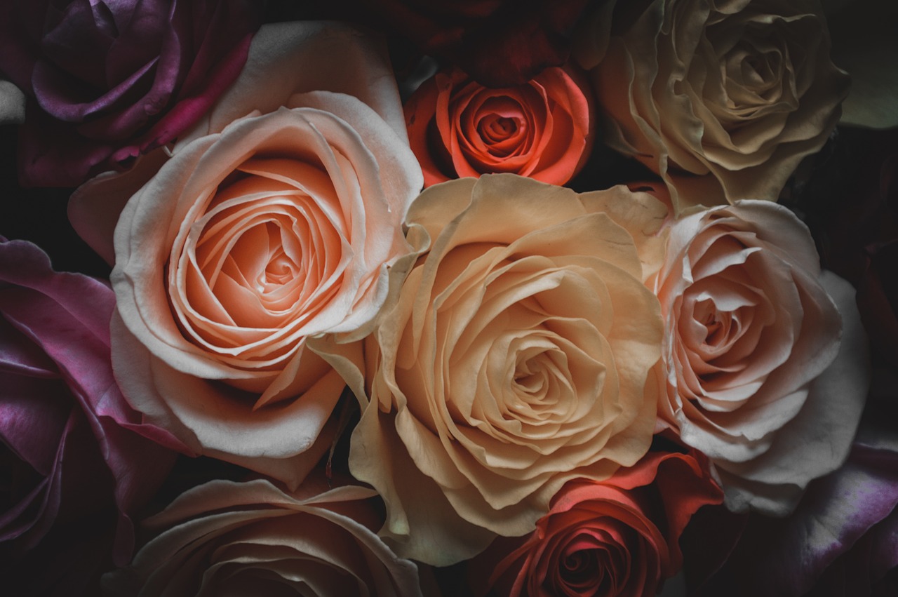 日本動漫情侶頭像，情感的象征與文化的展現(xiàn)，愛的視覺表達