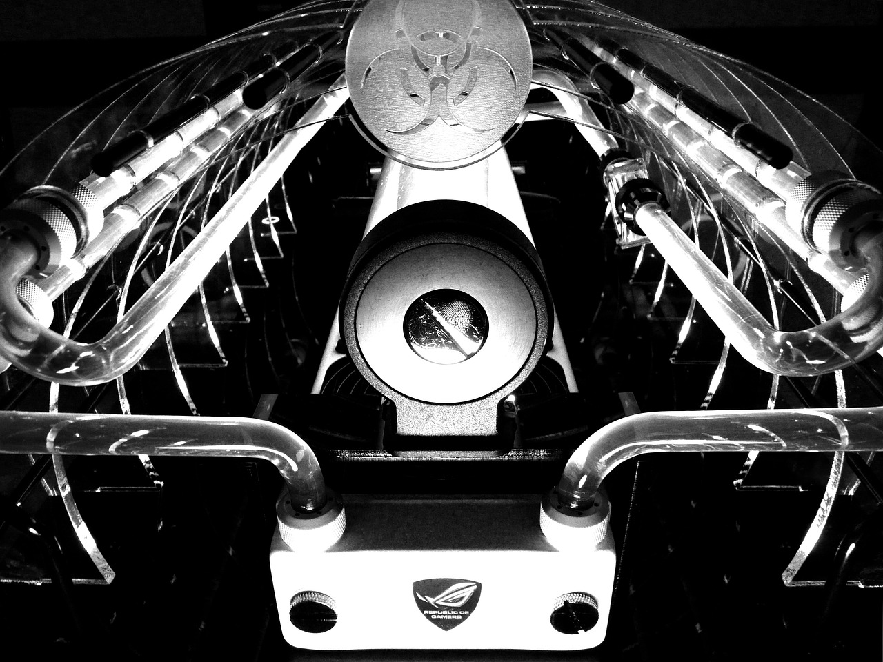 緬北最新動態(tài)更新，最新消息匯總