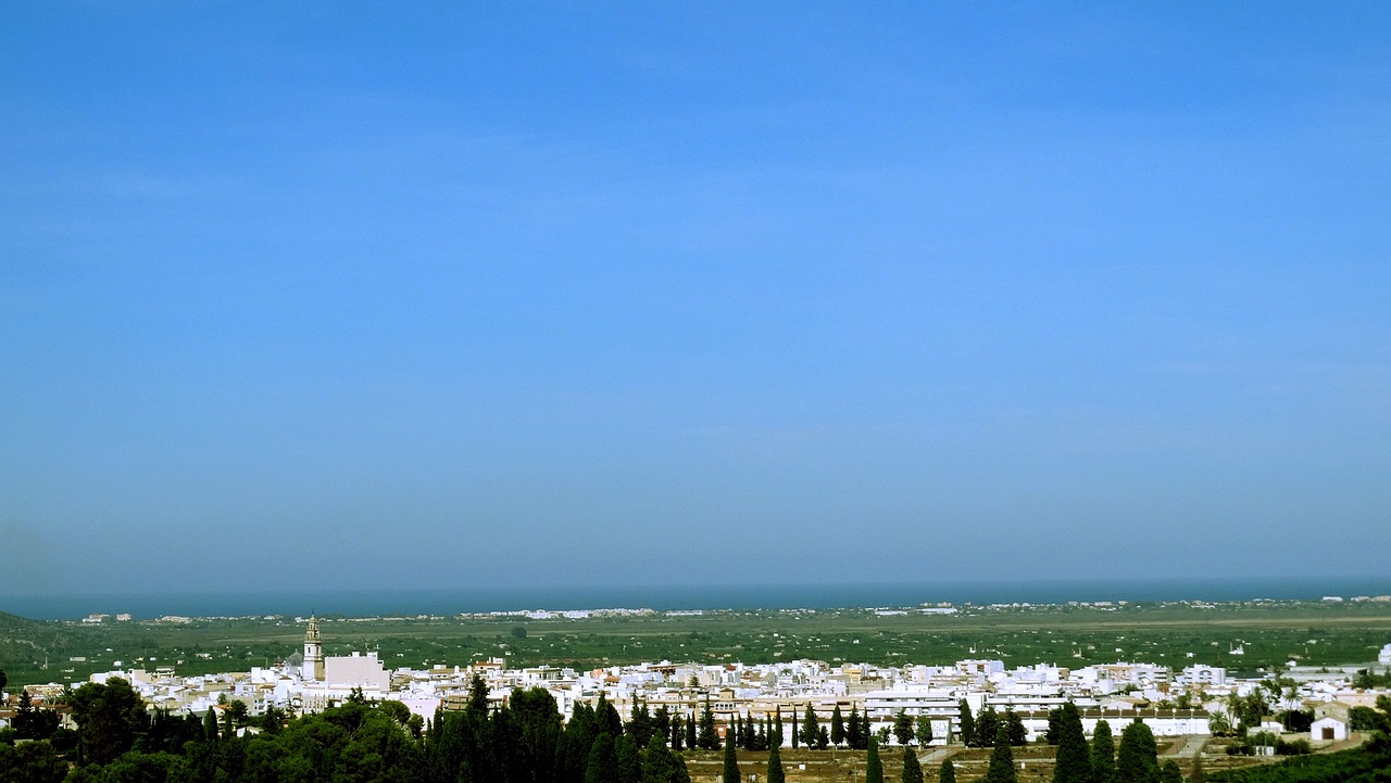 300287股票的市場(chǎng)動(dòng)態(tài)與投資前景探索
