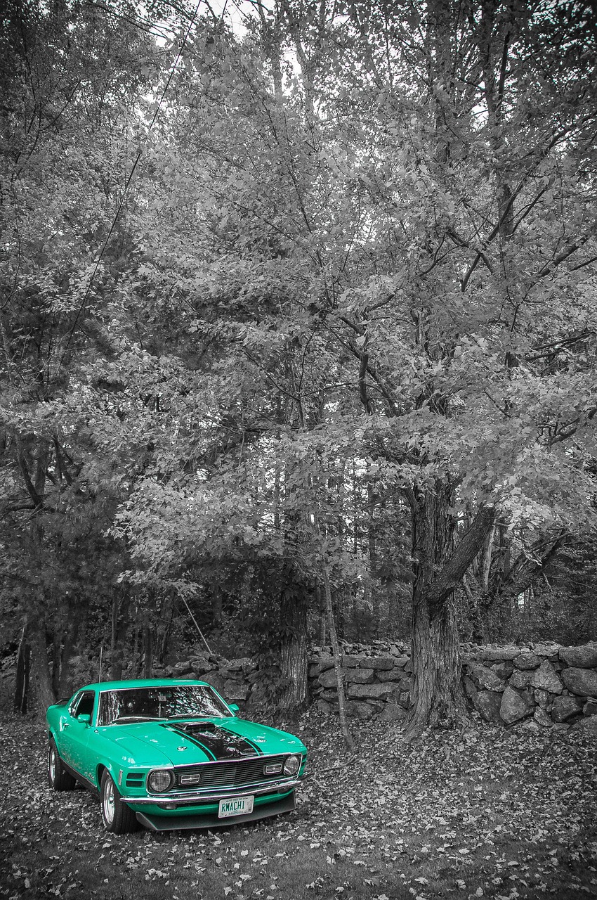 郭永章最新動態(tài)，展現(xiàn)多元才華與持續(xù)進步之路