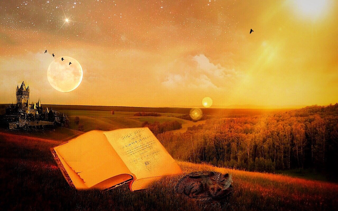 家贊悅 第4頁(yè)