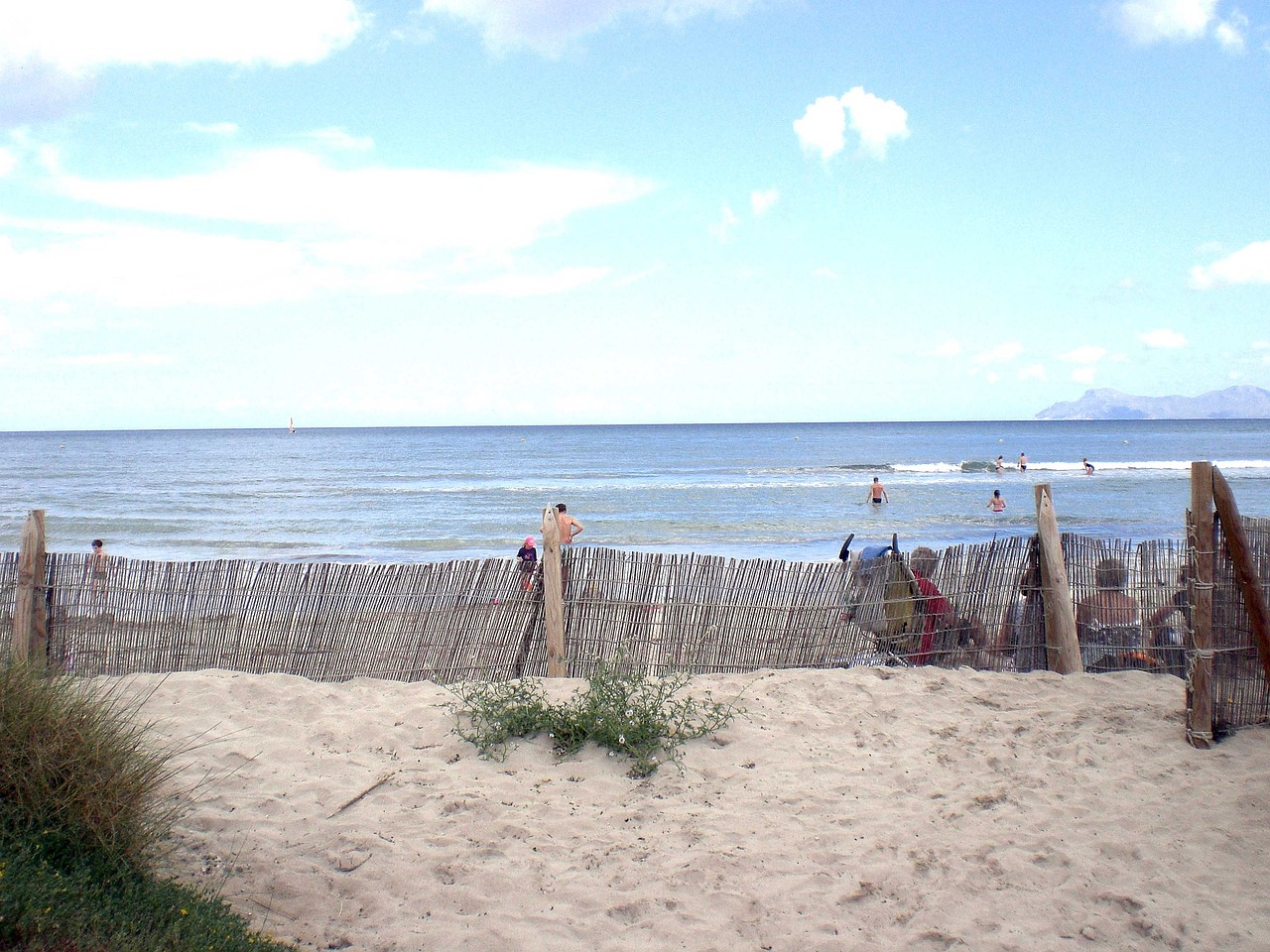 蒂亞最新動態(tài)，音樂與文化的融合之旅探索