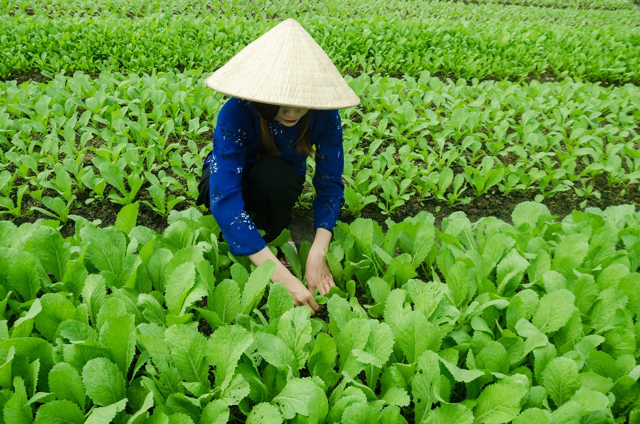 延邊富德最新動態(tài)更新，關(guān)注最新發(fā)展動態(tài)