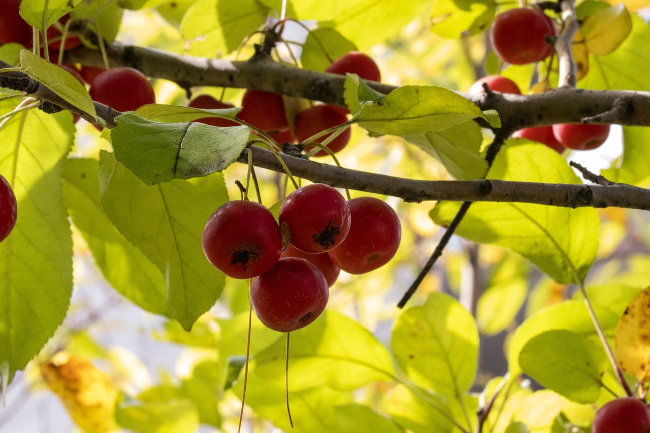 青島亨達(dá)最新動(dòng)態(tài)更新，最新資訊速遞