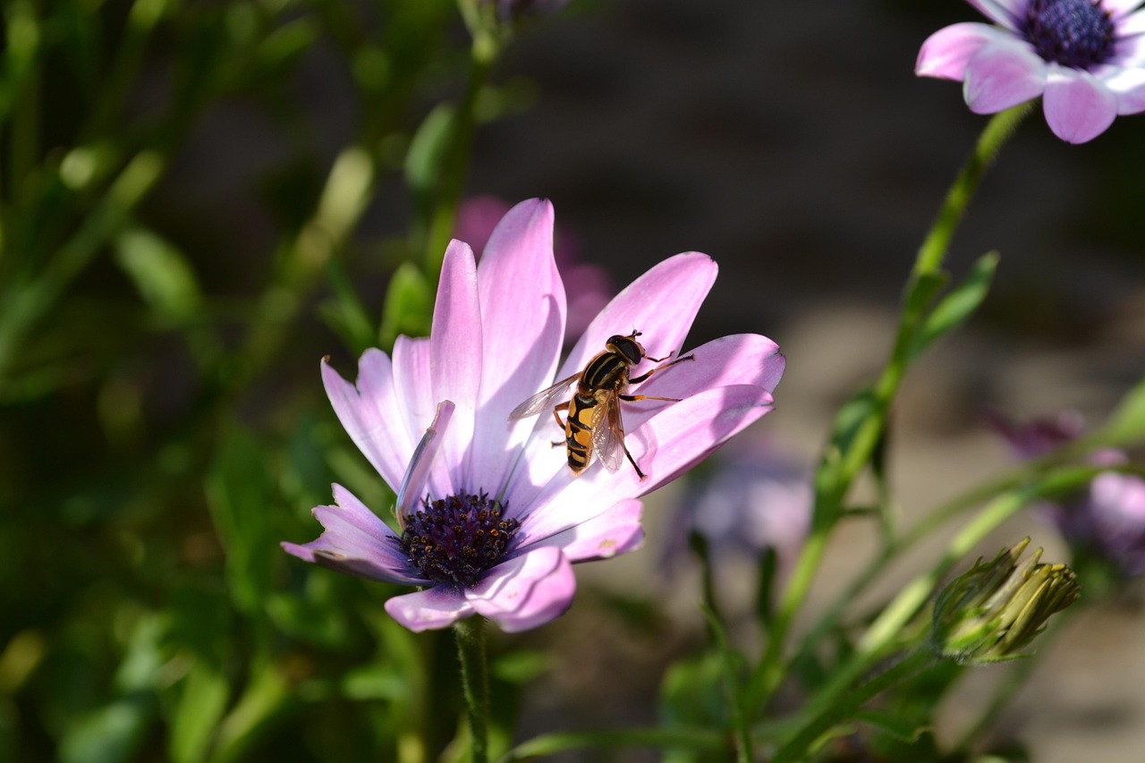 我國最新航空動態(tài)更新，最新進展與成就全解析
